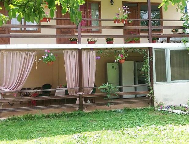 Эльза Hotel Gudauta Luaran gambar